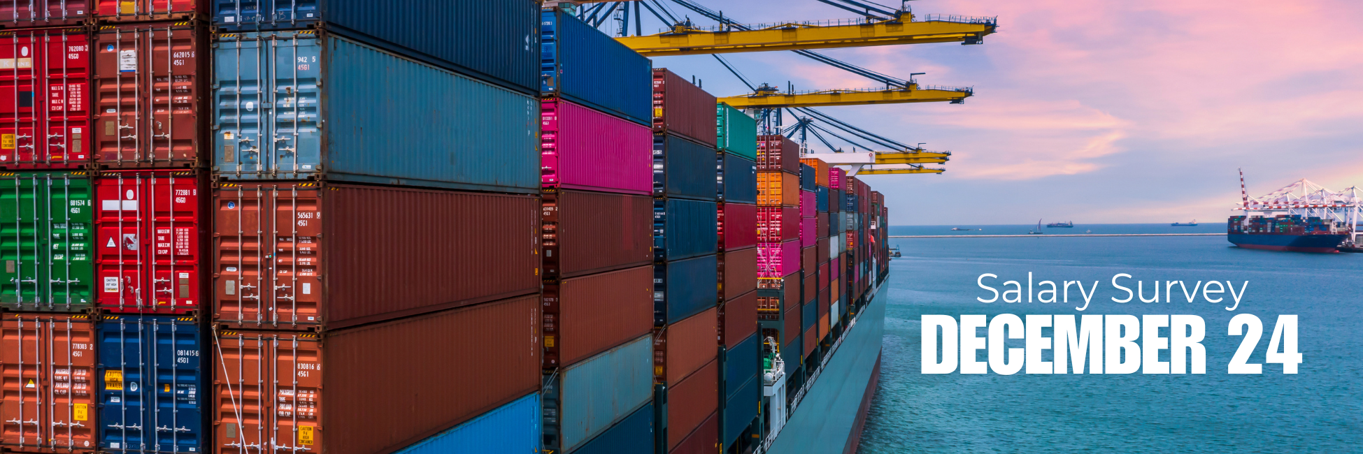 Salary Survey: Logistics, Shipping & Supply Chain Sector