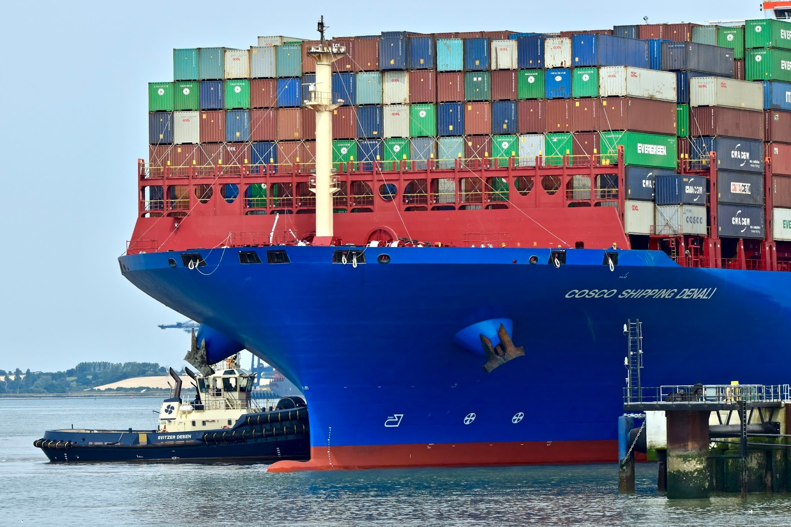 what does a freight forwarder do?